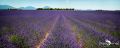 Provence 2020 011