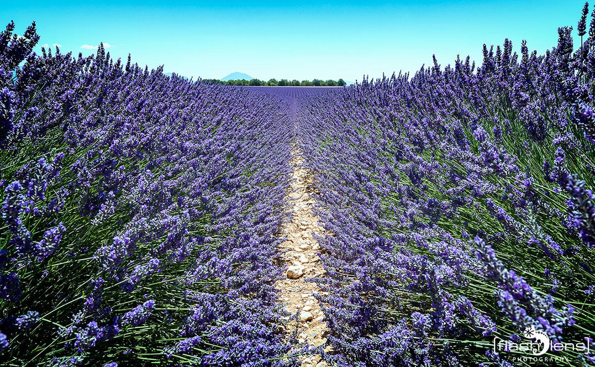 Provence 2020 015