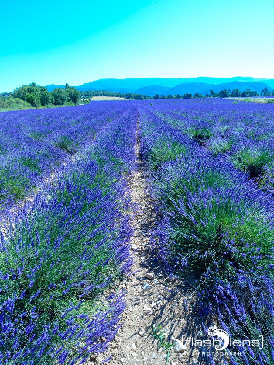 Provence 2020 018