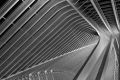 Gare Guillemins 069