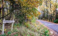 Holzbachschlucht 001