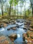 Holzbachschlucht 012
