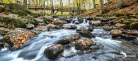 Holzbachschlucht 015