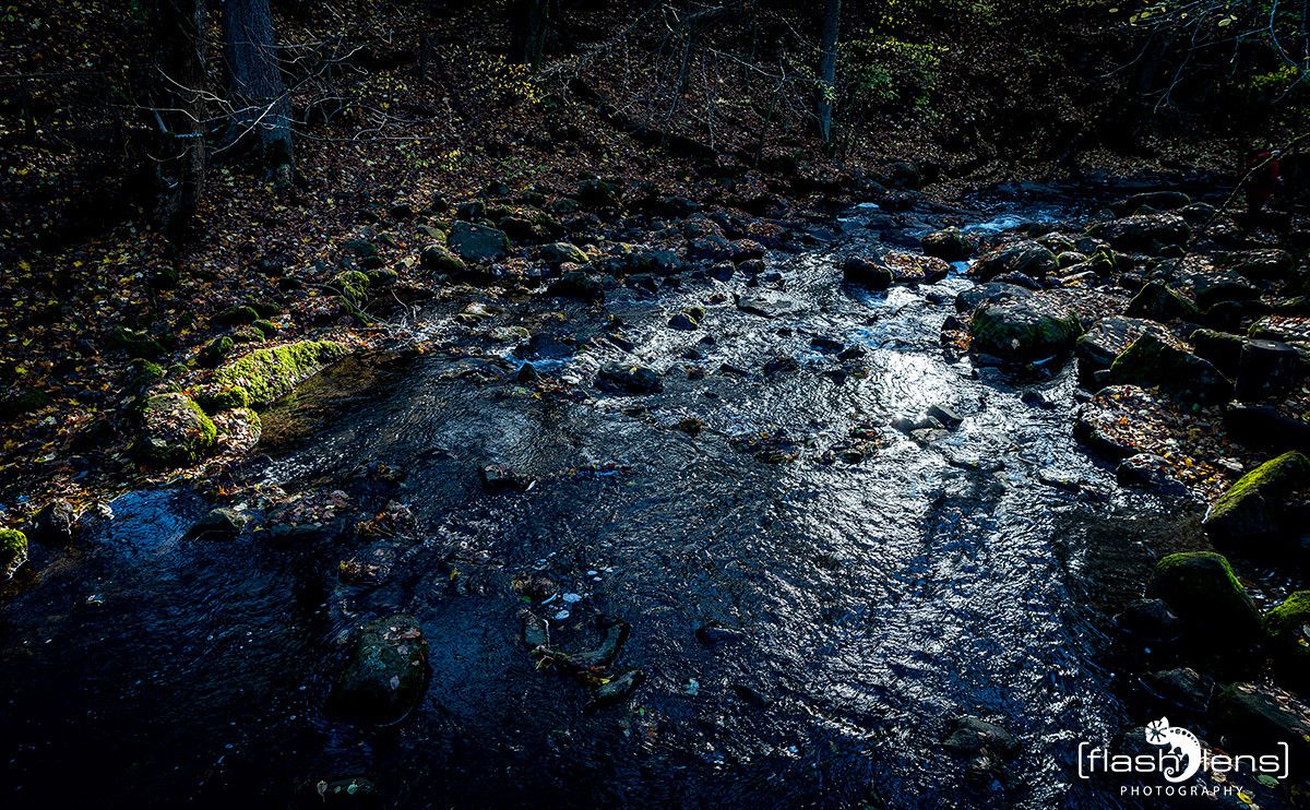 Holzbachschlucht 025