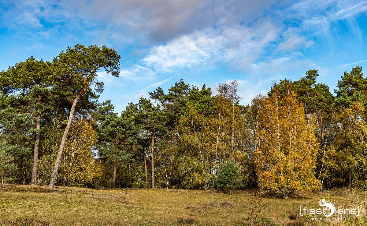Reindersmeer 005