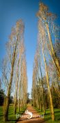Duesseldorf Nordpark 007