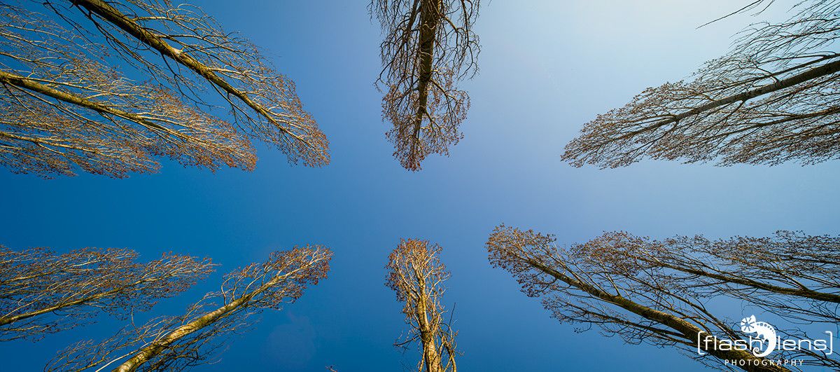 Duesseldorf Nordpark 008