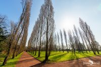 Duesseldorf Nordpark 009