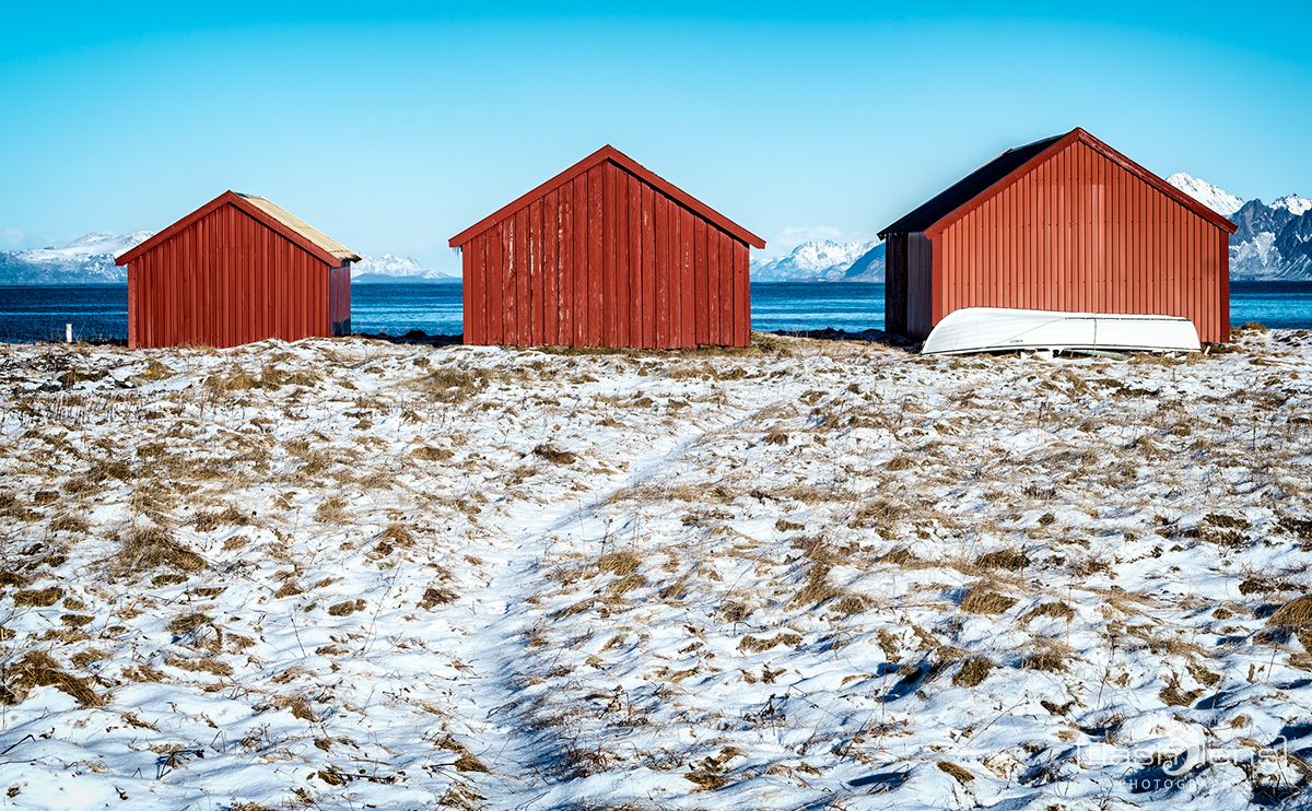 Lofoten 2019 008