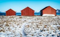 Lofoten 2019 008