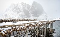 Lofoten 2019 018