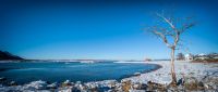 Lofoten 2019 025