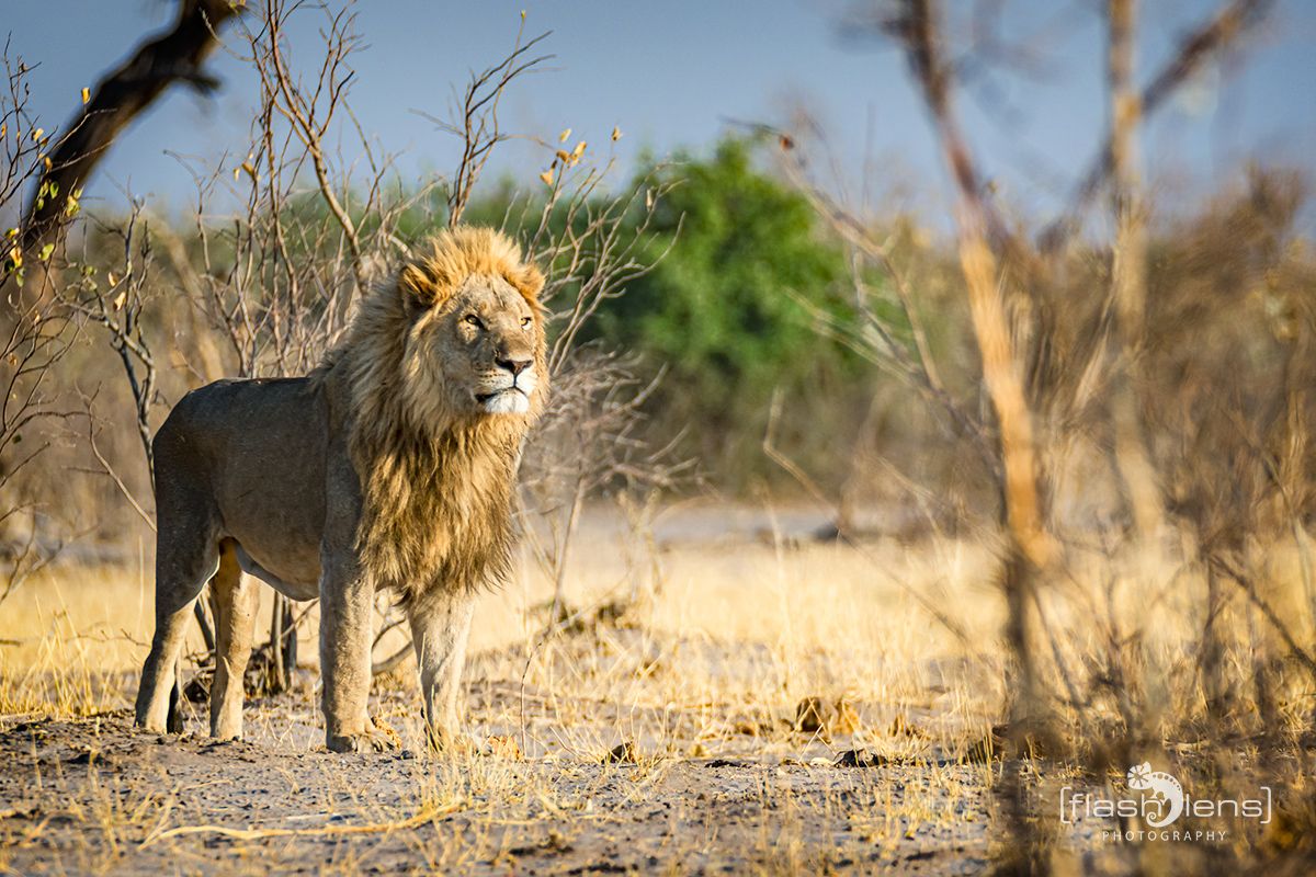 Botswana 2019 074