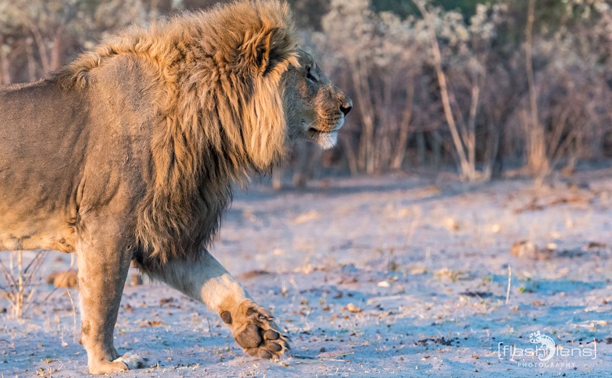 Botswana 2019 076