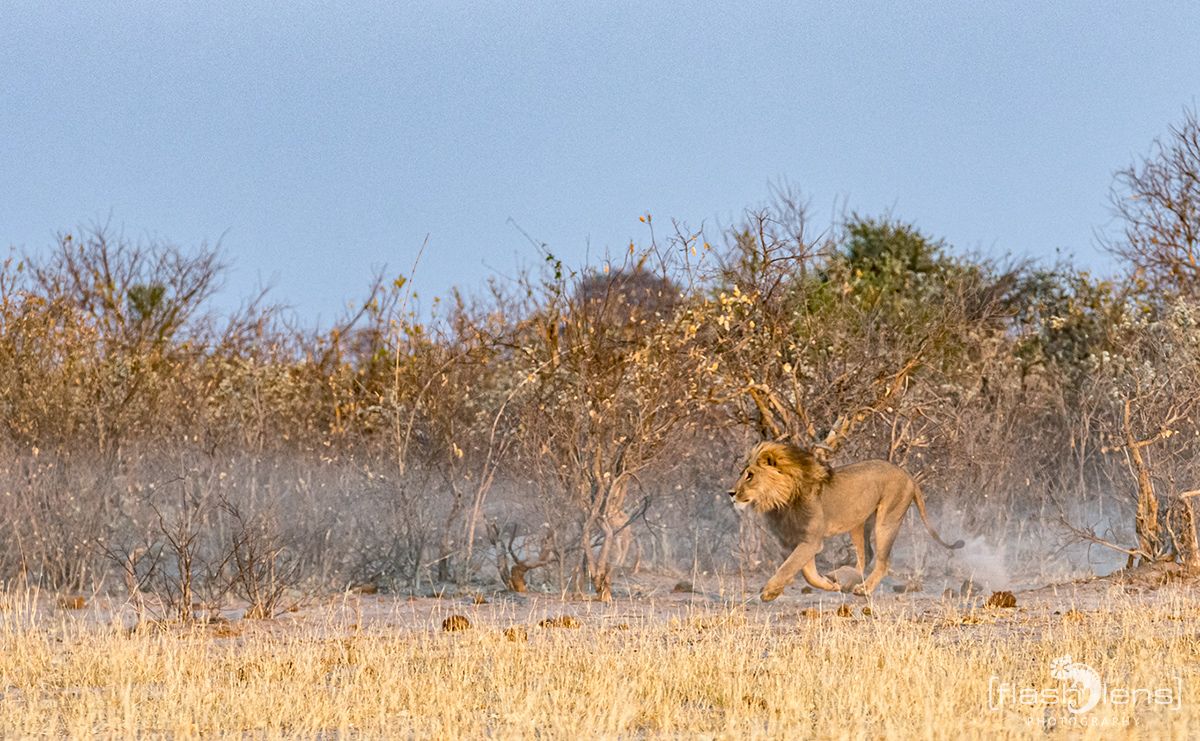 Botswana 2019 077