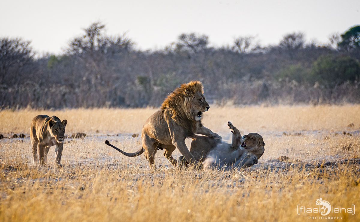 Botswana 2019 078