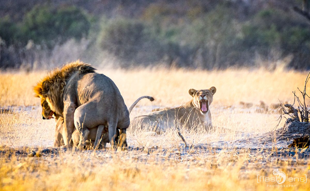 Botswana 2019 079