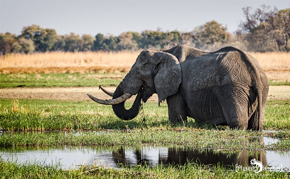 Botswana 2019 091