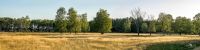 Pietzmoor 2019 002