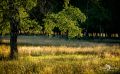 Pietzmoor 2019 003