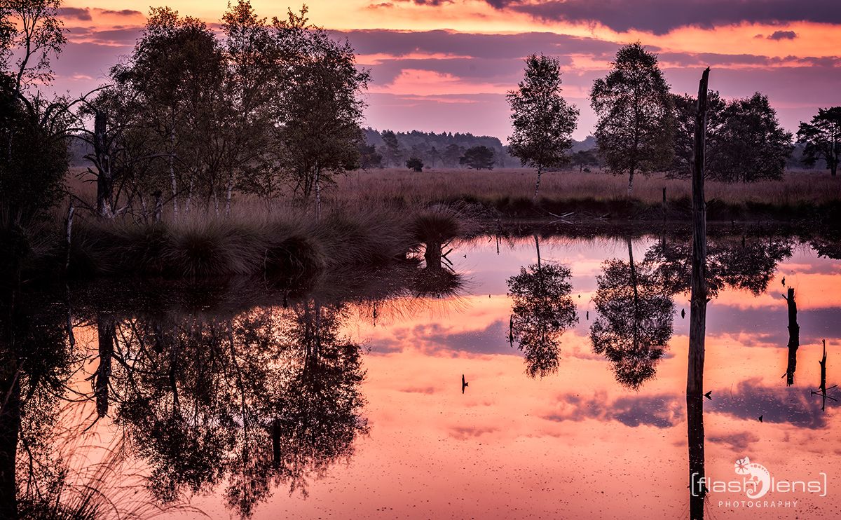 Pietzmoor 2019 004