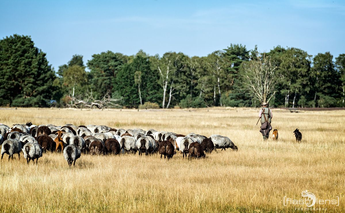 Pietzmoor 2019 006