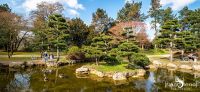 Duesseldorf Nordpark 015