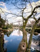 Duesseldorf Nordpark 019