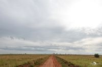 02 Murchinson NP  005