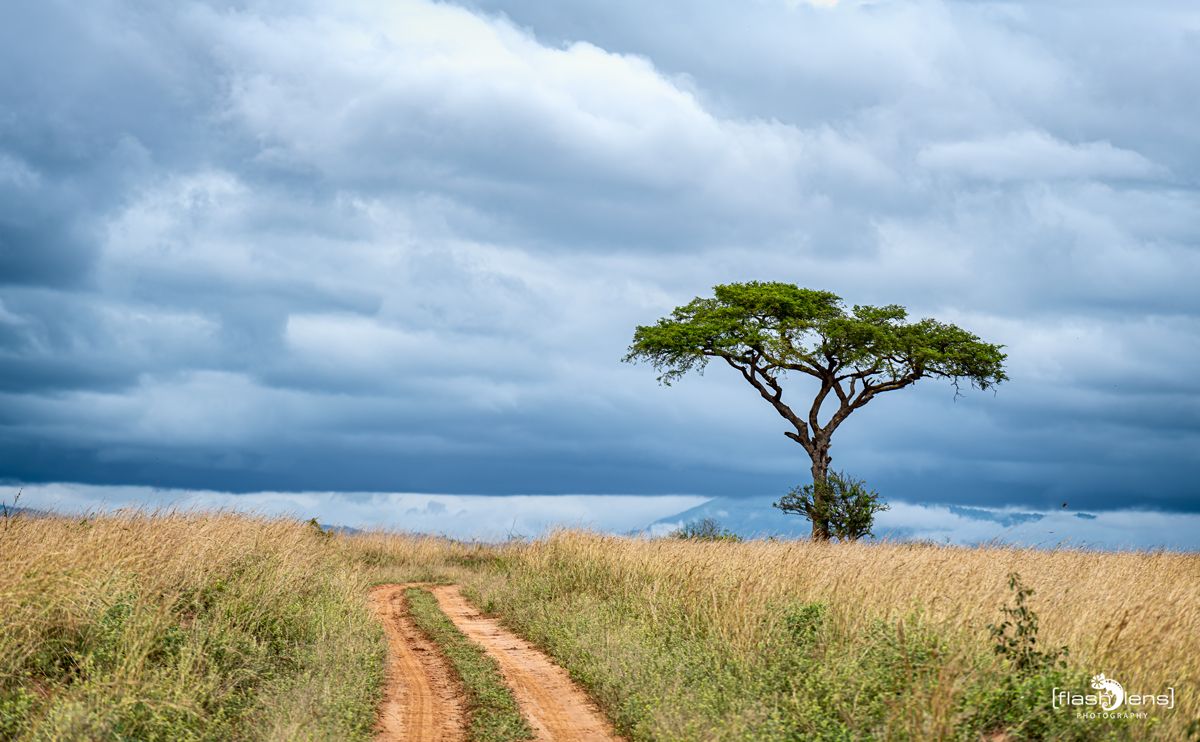 02 Murchinson NP  007