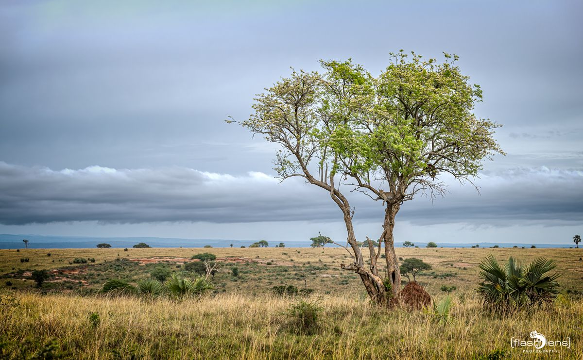 02 Murchinson NP  008