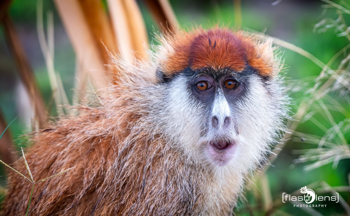 02 Murchinson NP  009