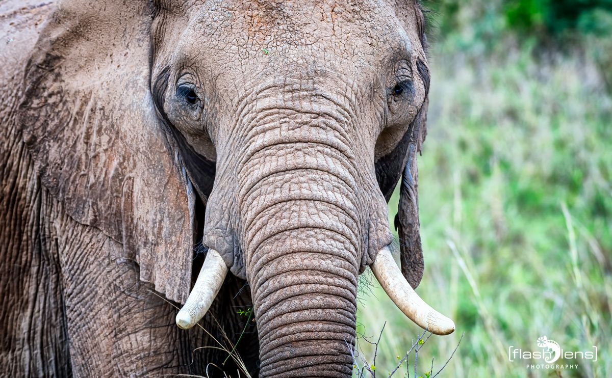 02 Murchinson NP  010