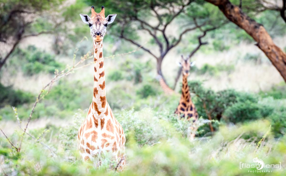 02 Murchinson NP  016