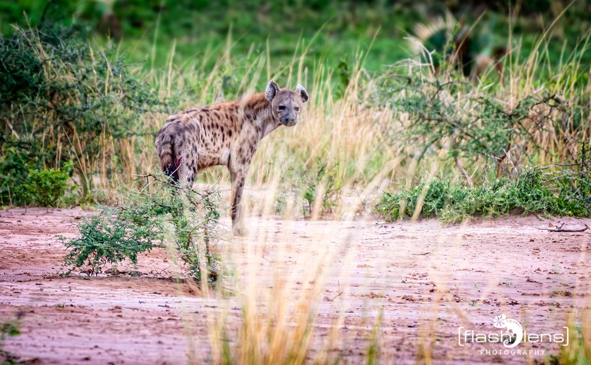 02 Murchinson NP  019