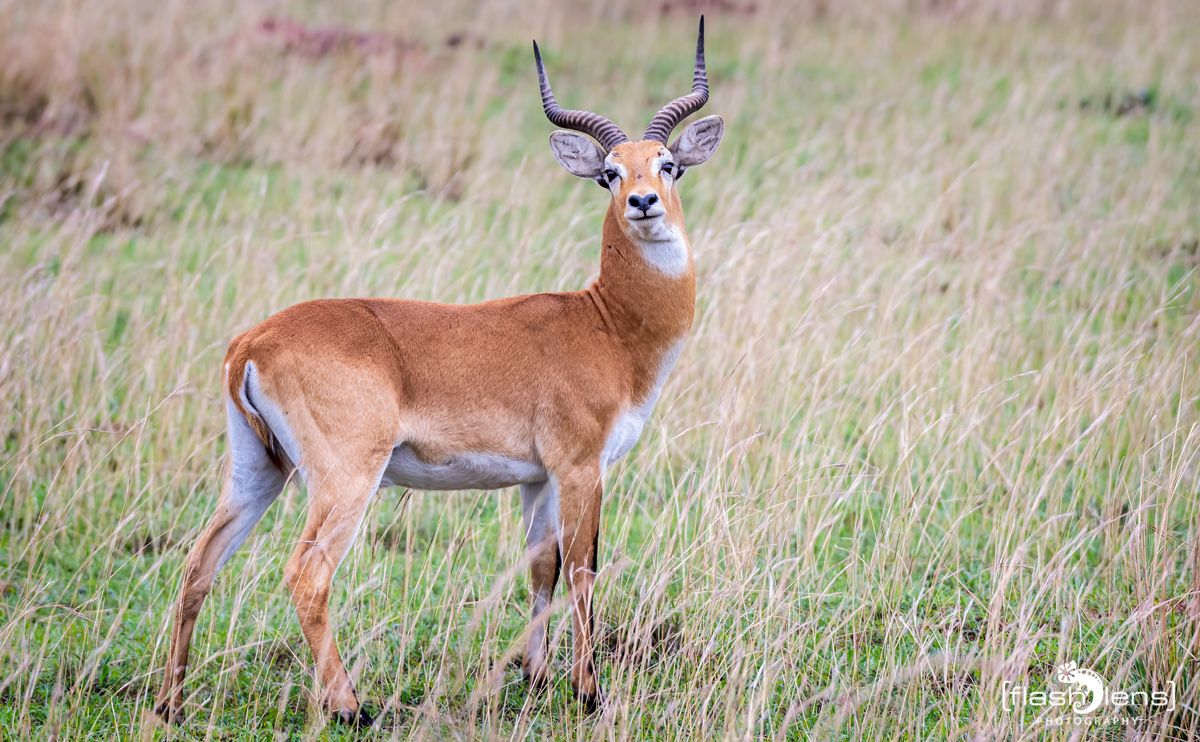 02 Murchinson NP  023