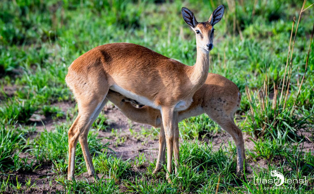 02 Murchinson NP  024