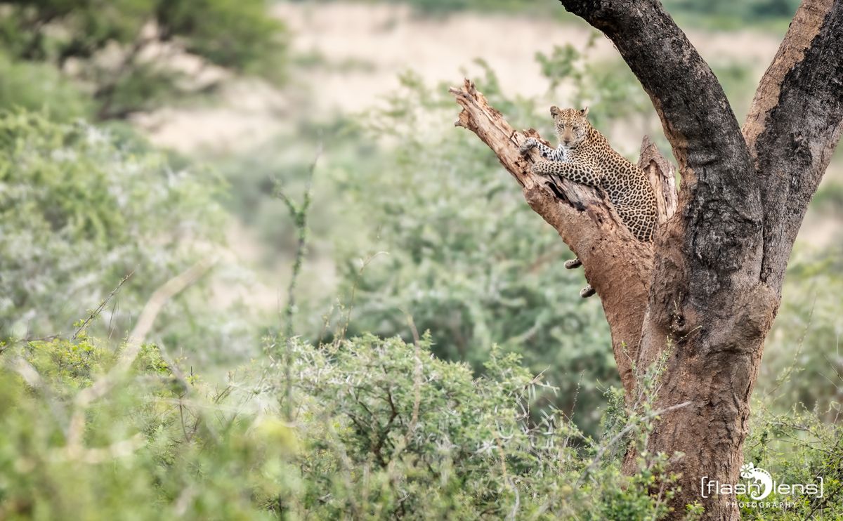 02 Murchinson NP  031