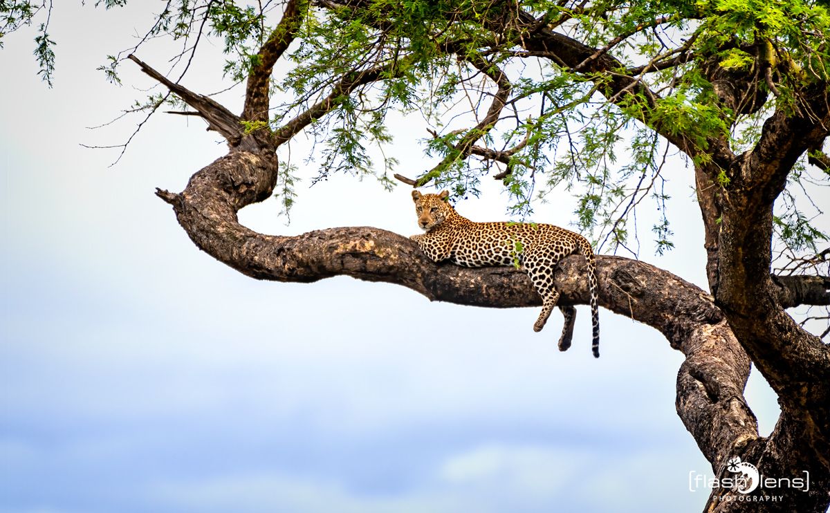 02 Murchinson NP  032