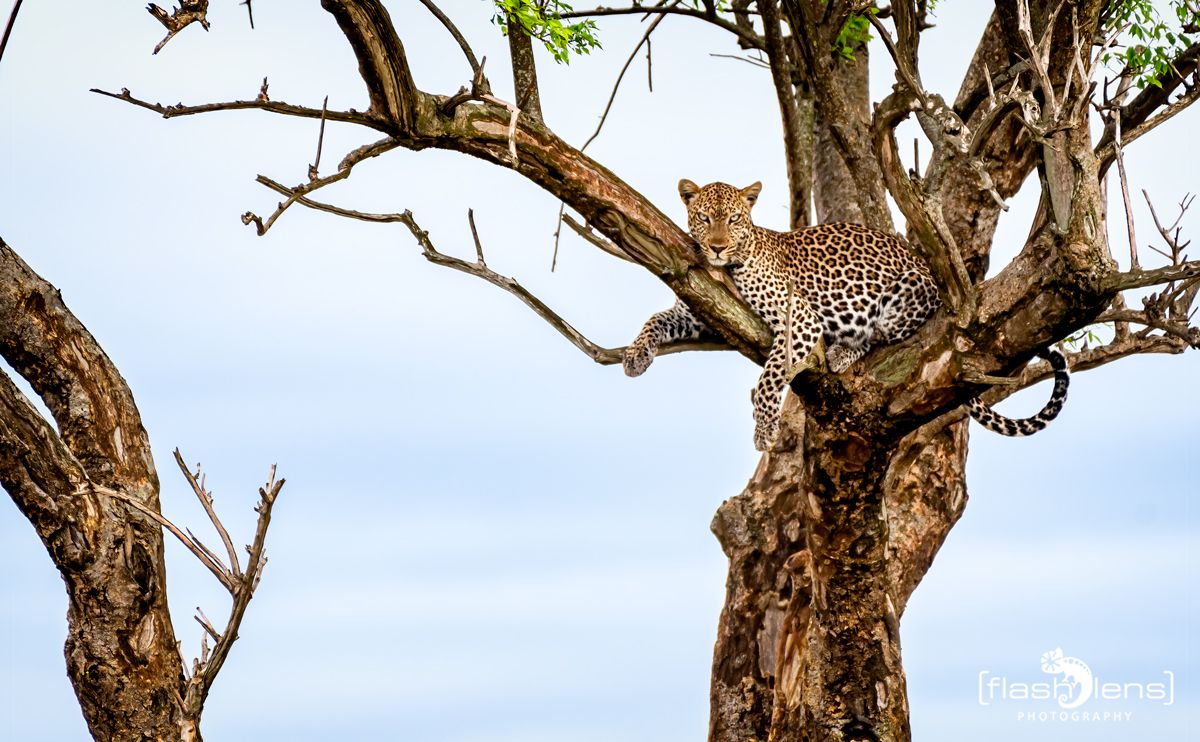 02 Murchinson NP  033