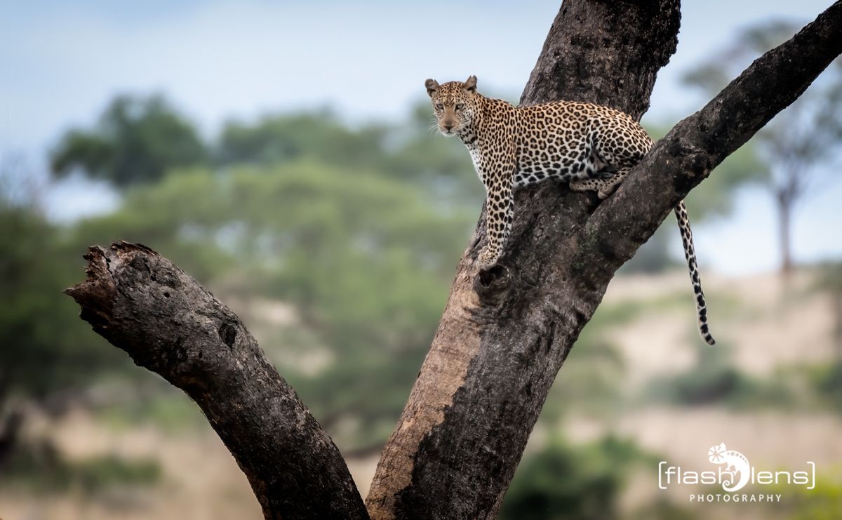 02 Murchinson NP  035