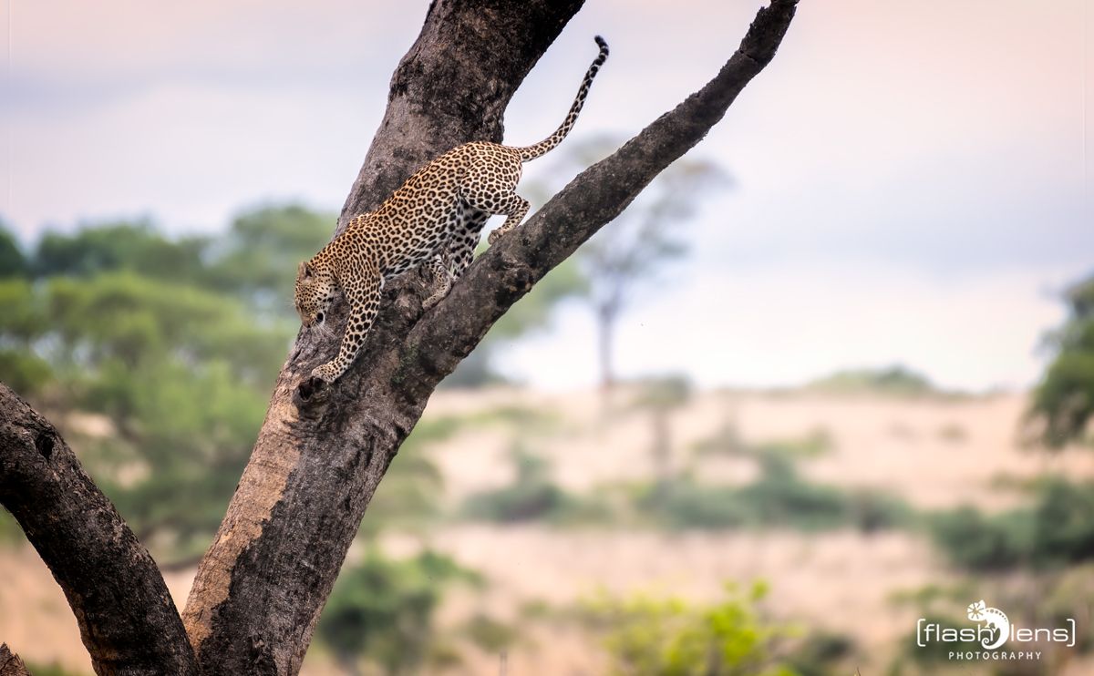 02 Murchinson NP  036