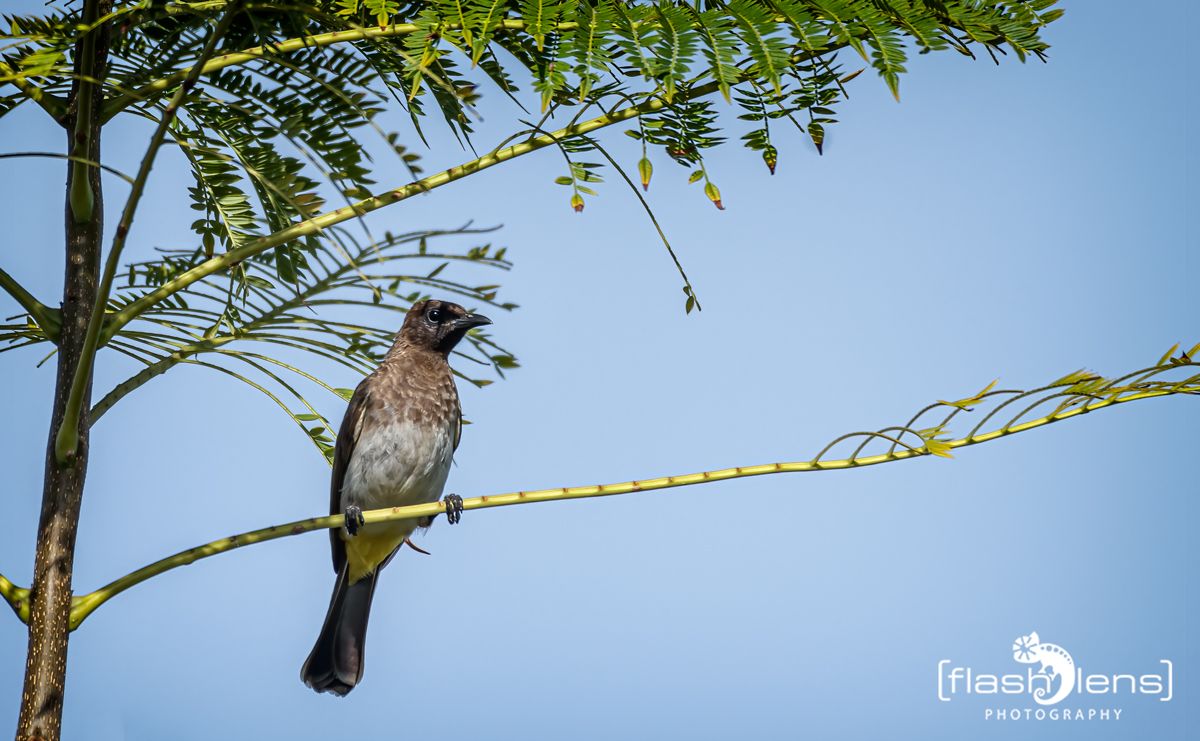 02 Murchinson NP  045