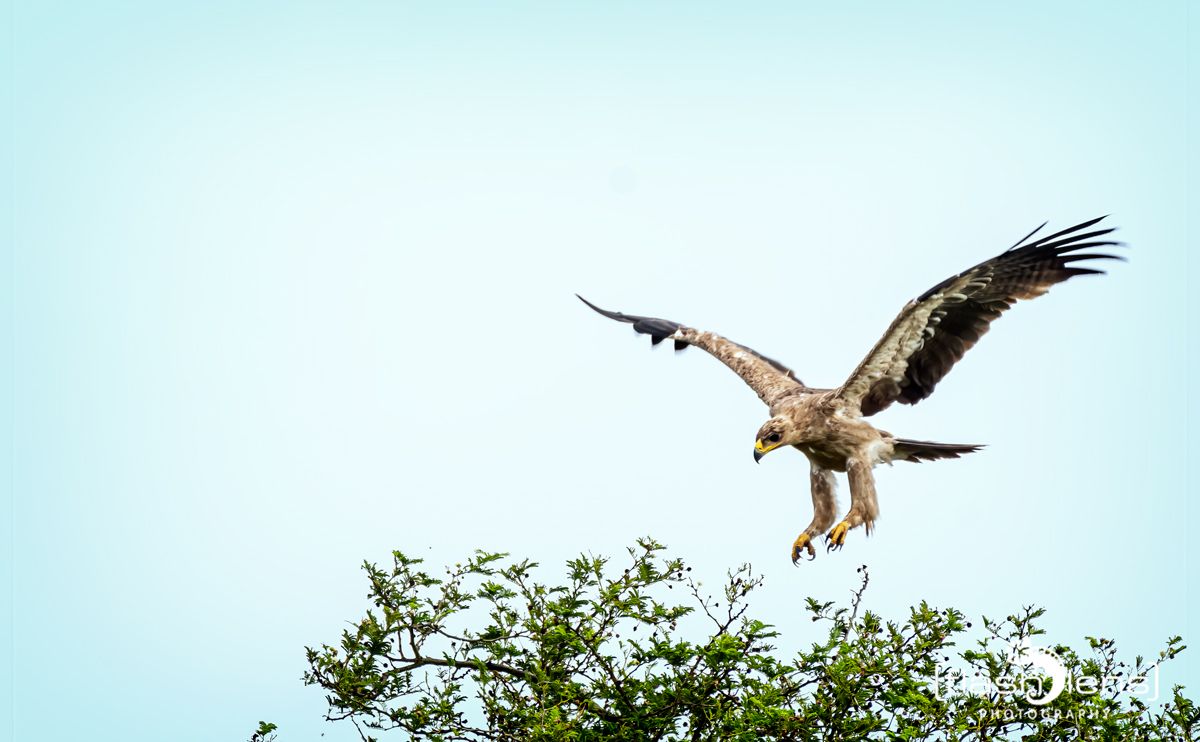 02 Murchinson NP  047