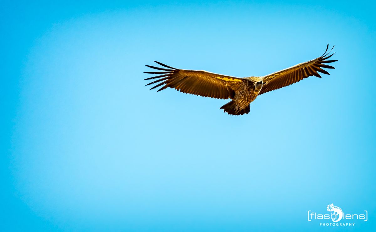 02 Murchinson NP  048