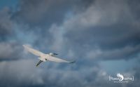 01 Entebbe 026