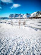 Lofoten 2019 041
