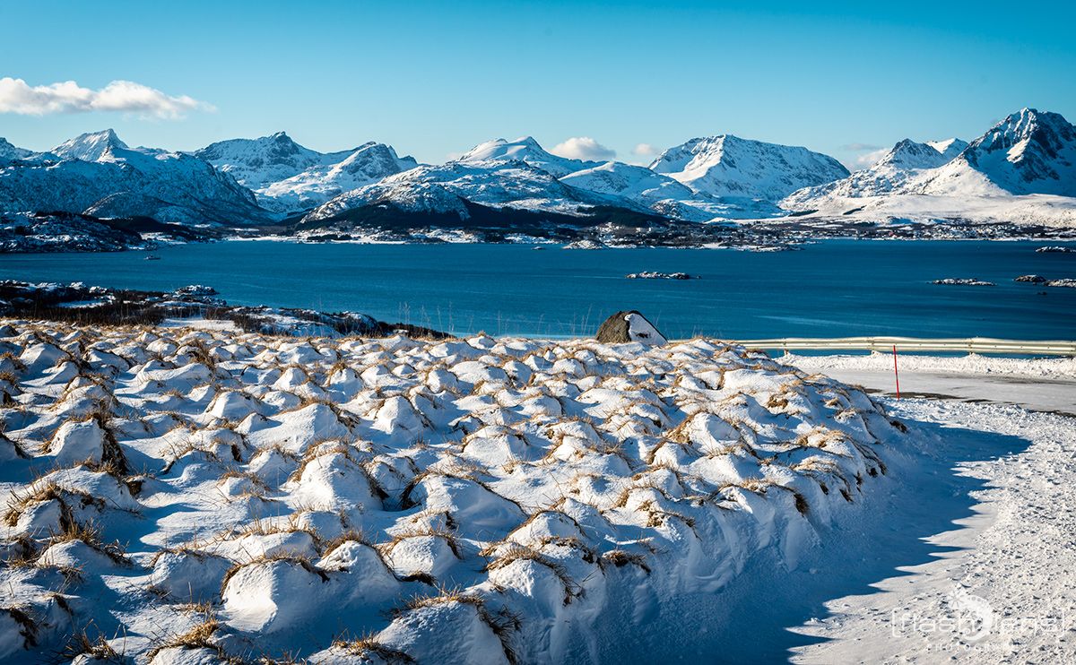 Lofoten 2019 047