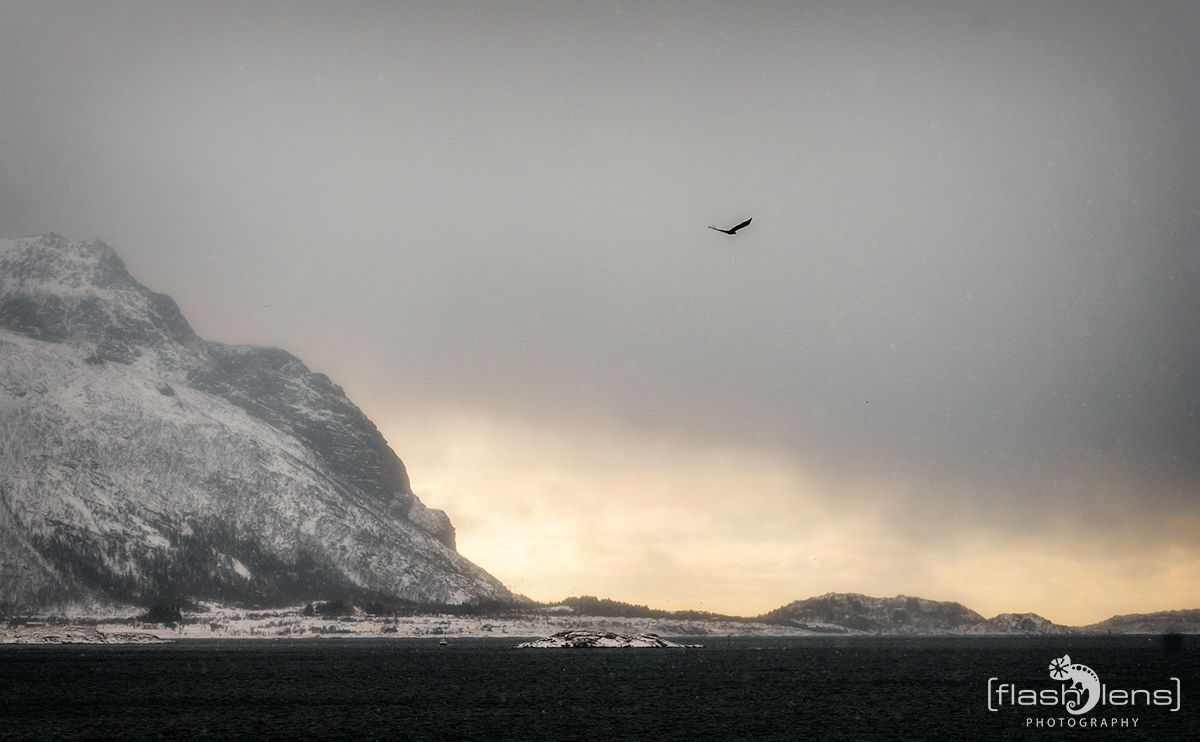 Lofoten 2019 059