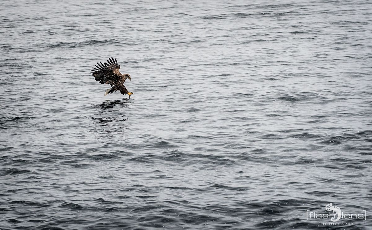 Lofoten 2019 084